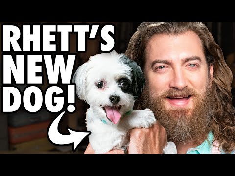 Meet Rhett's New Dog