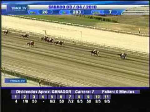 Resumen sábado 3 de abril de 2010 - La Rinconada