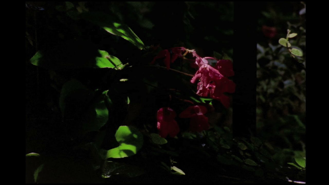 Lugano mental, Sergio Subero