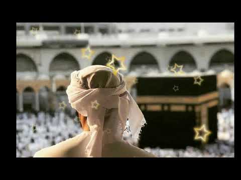 "Allah Tera😍Shukar Hai" 😍Beautiful Islamic Watsapp Status