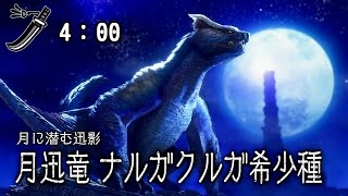 不可視の迅竜　ナルガクルガ希少種ノーダメ捕獲　太刀　4:00【モンハンRiseサンブレイク】