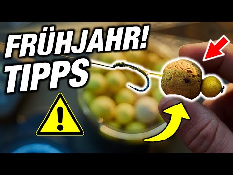 Karpfenangeln im Frühjahr Tipps für den Saisonstart