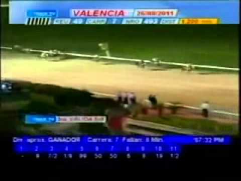 Resumen Viernes, 26 de Agosto de 2011   Valencia