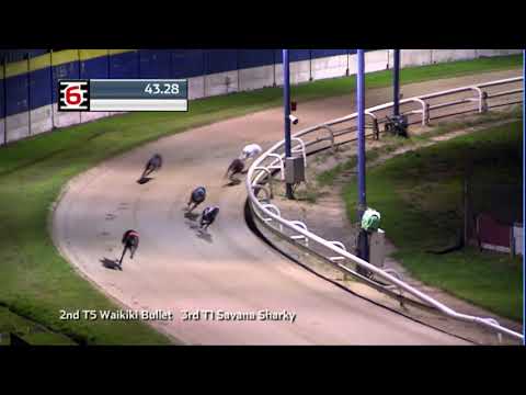 2020 RPGTV ST LEGER - HEAT 2 - T6 AAYAMZA ROYALE