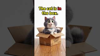 Where's the Cat? 🐱 Learn 8 Prepositions of Place in English!