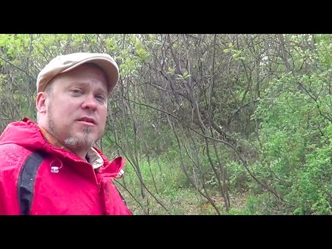 image-Where is Lackawanna State Park in Pennsylvania?