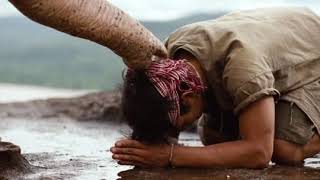 Download lagu Ong -Bag 2 cz dabing mp3