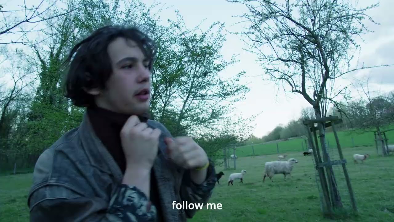 Le Perroquet dans sa Soucoupe - KASK Toelatingsproef