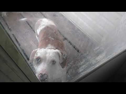 Steve And The Outside World