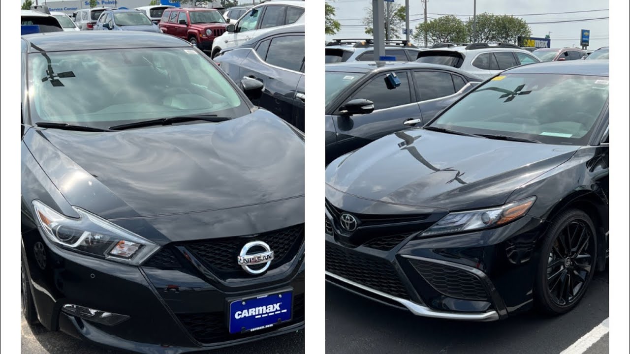 What does it mean when a cat poops on your bed? Tipseri