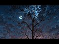 Chand Sitare New Song Video Trending Edit Unfreezemyacount