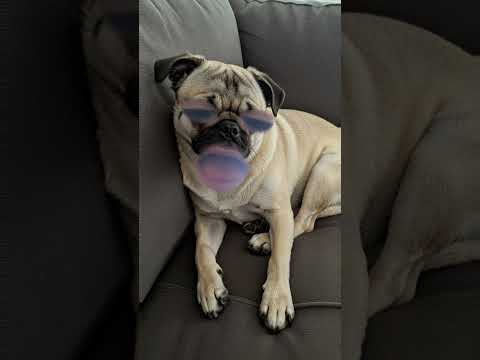 10 сентября 2025 г.