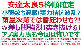 【安達太良ステークス2026】枠順確定　小頭数だが激戦！実力拮抗波乱か？雨量次第では思わぬ番狂わせも？！◎差し脚強烈！直線突き抜ける！アノ実力馬も、今回は脅威になります。