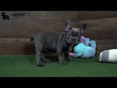 Video 1
