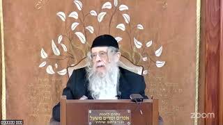 הרה"ג הרב וועכטר שליט"א א' אייר תשפ"ה - מאמר הרבי הריי"צ הת"ש ד"ה כי ישאלך בינך חלק ה (הרב אברהם מנחם מענדל וכטר) - התמונה מוצגת ישירות מתוך אתר האינטרנט יוטיוב. זכויות היוצרים בתמונה שייכות ליוצרה. קישור קרדיט למקור התוכן נמצא בתוך דף הסרטון