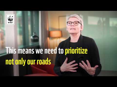 City Share – Umeå, Sweden