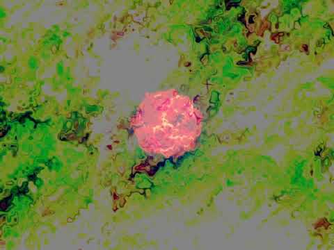 cre8audio east beast, make noise mimephon.