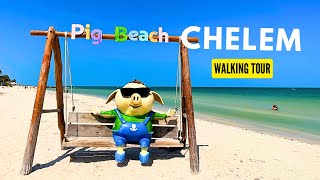 🇲🇽 Pig Beach Walking Tour 2024 | Yucatan Mexico | Spring Break