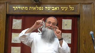 שיבוט גנטי בהלכה