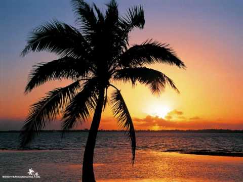 DJ Natasha Rostova "Electro Vibration "