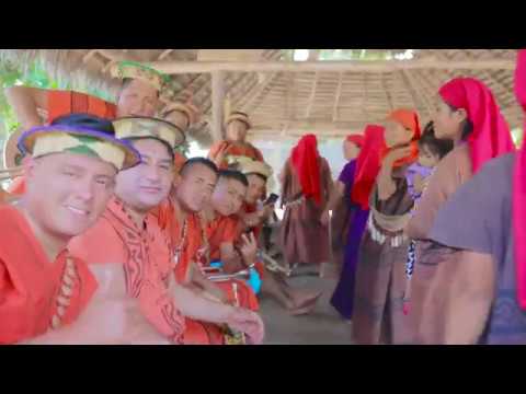 Centro musical Pomapata - Estoy Perdido en un bar - Videoclip Oficial