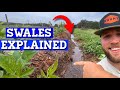 Understand Swales In LESS THAN 3 MINUTES