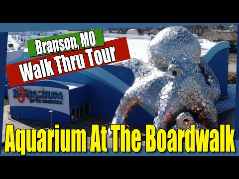 Aquarium At The Boardwalk Branson Walk Thru