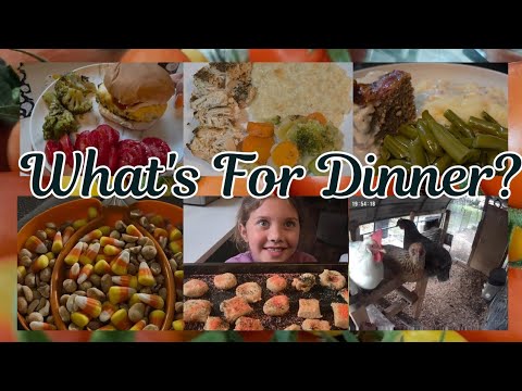 What’s For Dinner + Chicken Coop Makeover | Easy Family Meals & Cozy Fall Vibes