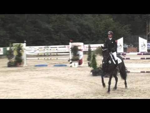 Stall Stecher Natalia Stecher DM 2015 M* 2. Umlauf