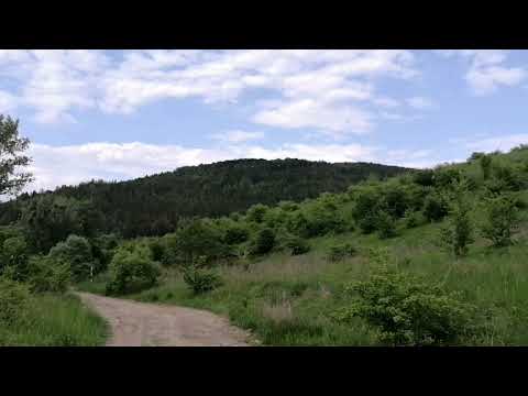 "Ninge" în Făget, în 1 iunie (2022)