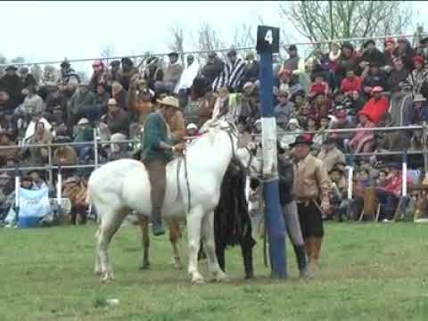 Jineteada Lincoln el ganador d la camioneta el vasco jose oteghy