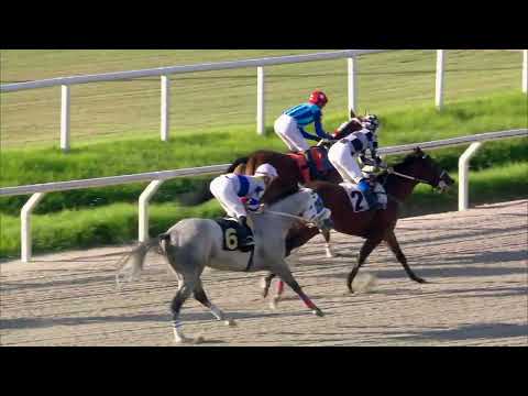 230401 c07 INMENZO /ARG)