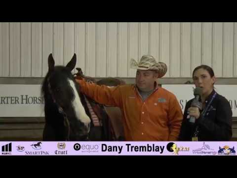 NRHA Derby 2017 – Dany Tremblay