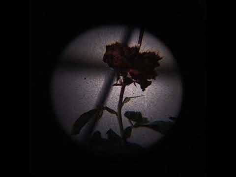 DOLI x młody wisnia - ODDYCHAĆ (ORYGINAŁ)