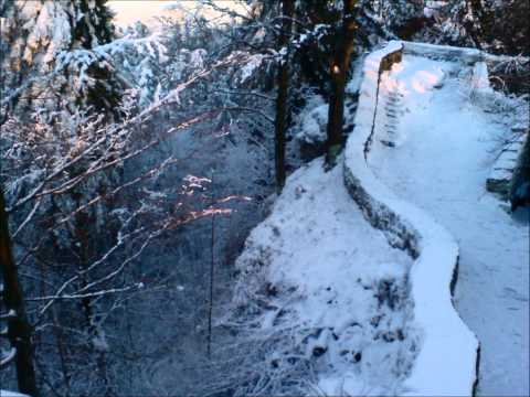 Schattenvald V - Beim Kartenspiel am Teufelstisch
