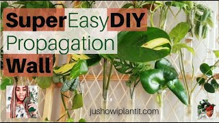 Propagating Houseplants In A DIY Plant Propagation Station/ Propagating Cuttings In Water