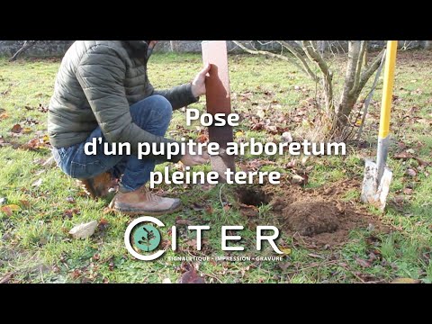 CITER PUBLICITE Miniature vidéo YouTube 24