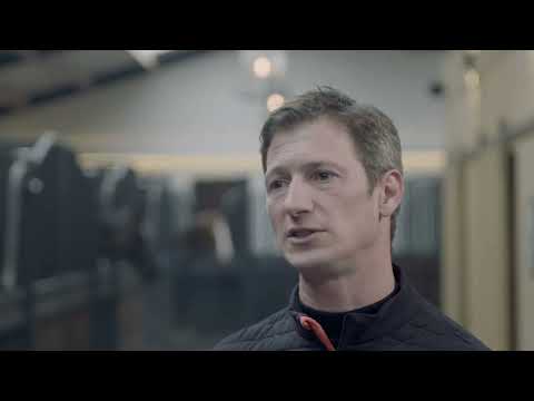 ANDUVET - Daniel Deusser über die Wichtigkeit der Rückenmuskeln bei Pferden