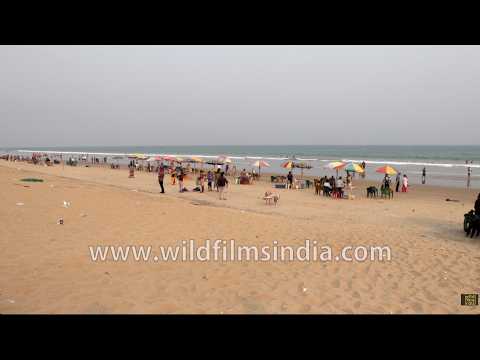 Gopalpur-on-Sea blends golden beaches, surf, and coastal handicraft markets in Odisha