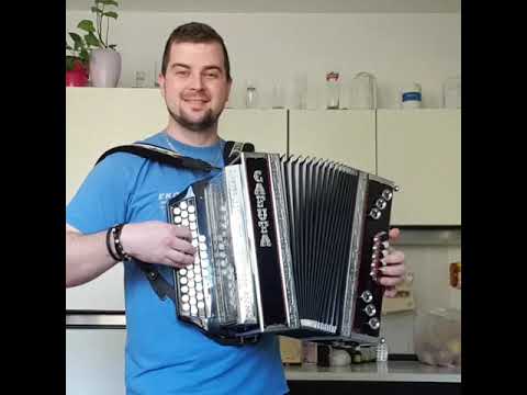 Domen Sajbert - Galebi (ansambel Franca Miheliča)