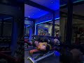 72,5kg (160 pounds) Dumbbells Chest Press