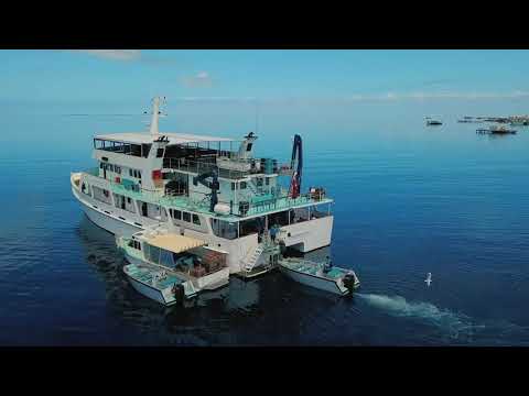 Life onboard the Eco Abrolhos