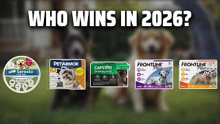 The Top 5 Best Frontline Flea and Tick in 2026 - Must Watch 