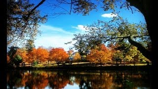 Download lagu Passenger -- Golden Leaves (with lyrics) mp3 Download lagu Passenger -- Golden Leaves (with lyrics) mp3