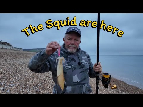 How to catch squid from the shore