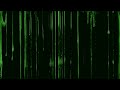 Drake Slime You Out Ft SZA Visualizer