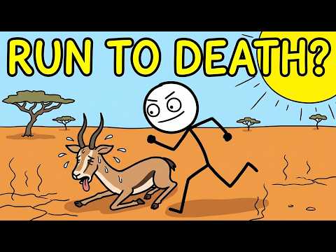 How Did Ancient Humans Hunt?