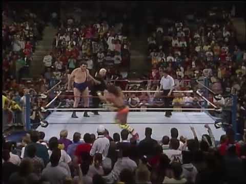 Ultimate warrior vs andre the giant