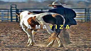 Grupo Clasificado - La Mayiza EXCLUSIVO 2022 (CORRIDOS 2022)