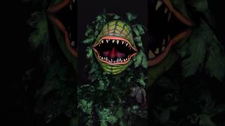 Transforming into Audrey II from Little Shop of Horrors 🪴🩸